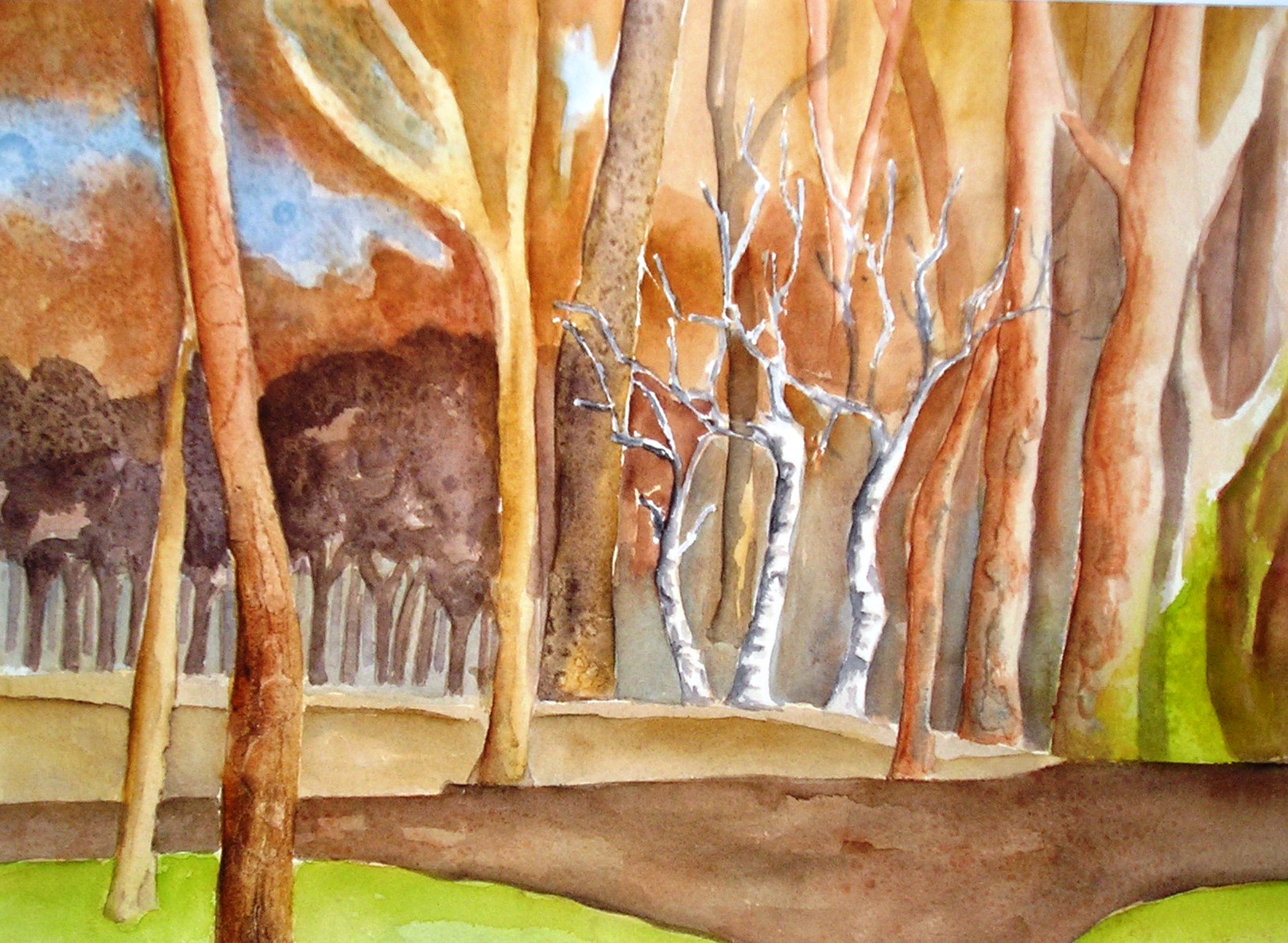 Bäume – Mischwald